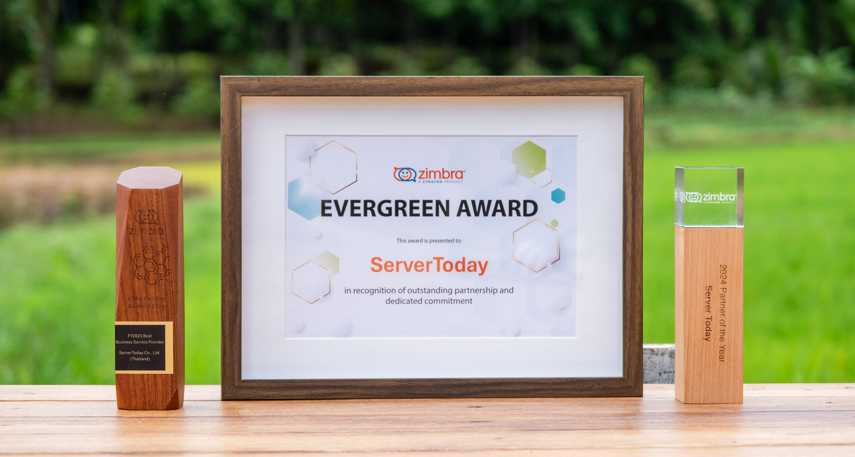 Zimbra Email Interface