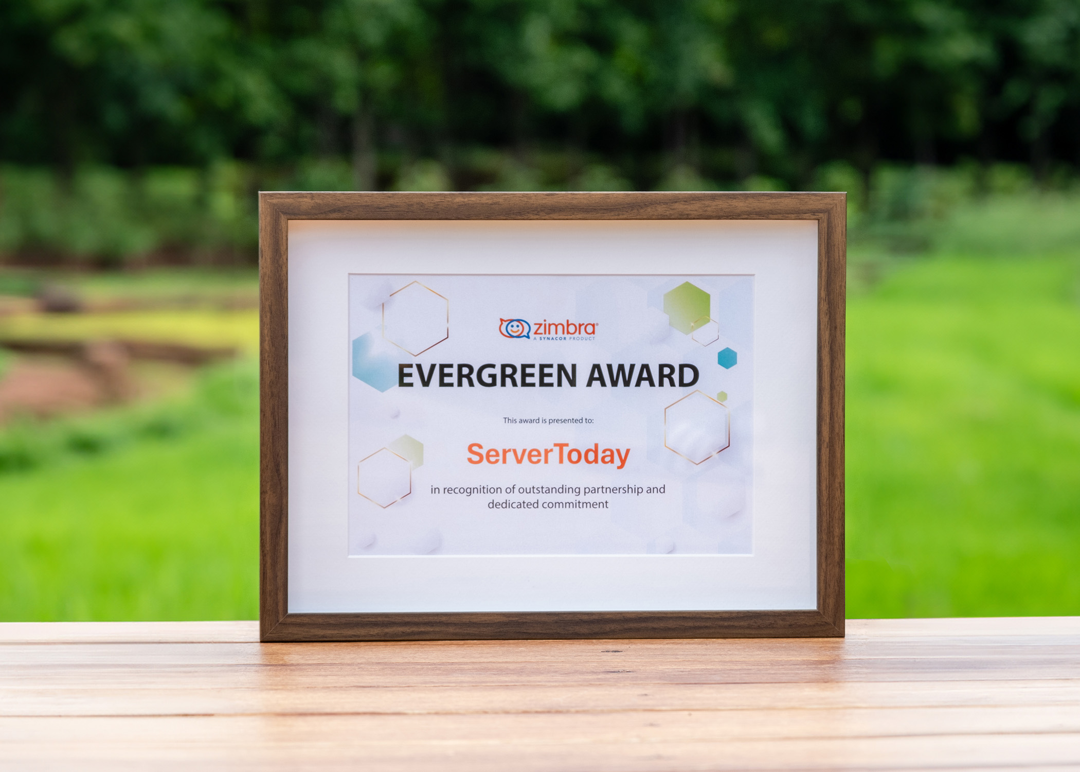 Zimbra Email Interface