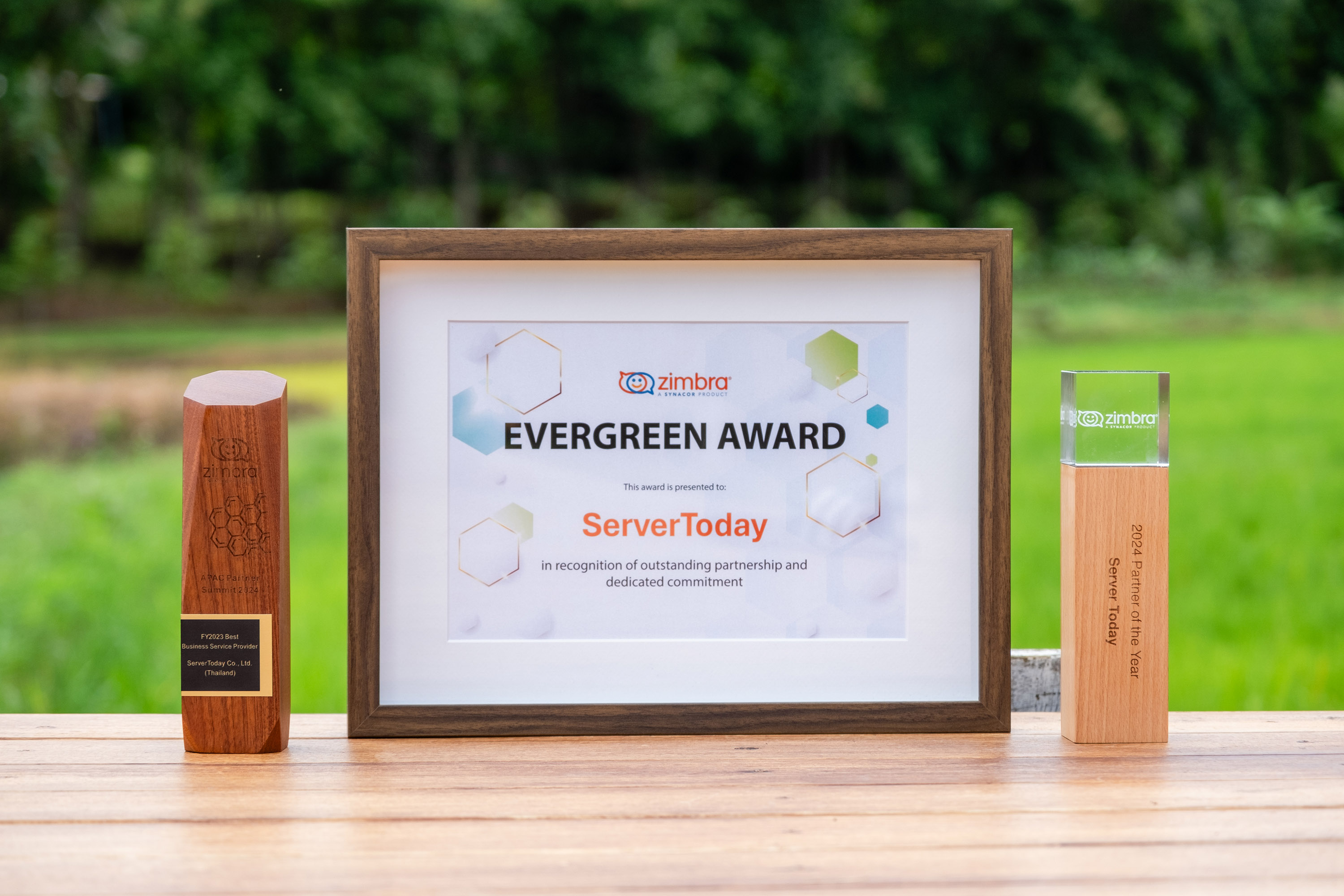 Zimbra Email Interface