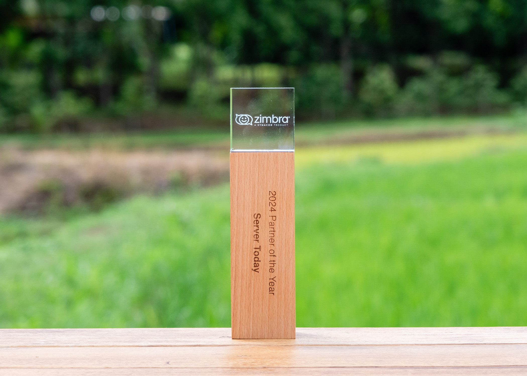 Zimbra Email Interface